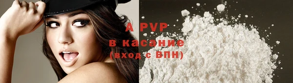 амф Ростов