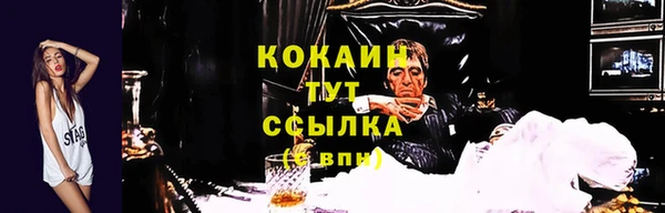 2c-b Абаза