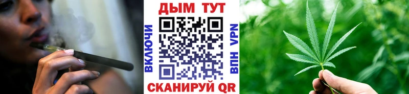 где купить наркоту  Каргополь  Каннабис марихуана 